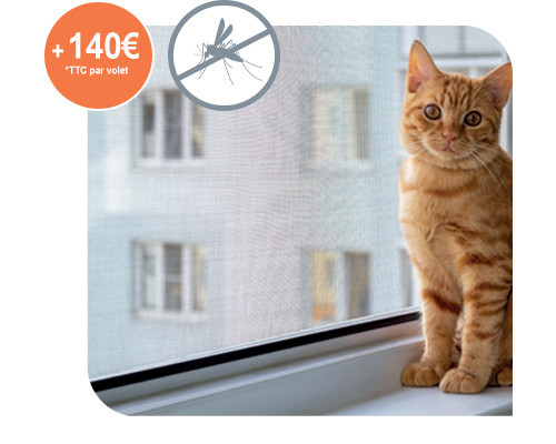 Moustiquaire volet roulant solaire Bubendorff